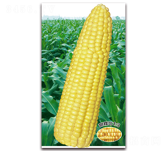 �f�S��Ŵ1015-Ŵ���׷N��-�A��N�I