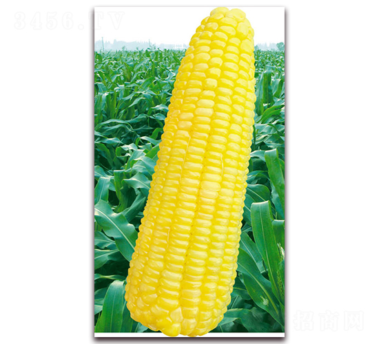 �fŴ2018-Ŵ���׷N��-�A��N�I