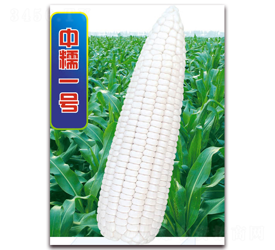 ��Ŵһ̖-Ŵ���׷N��-�A��N�I