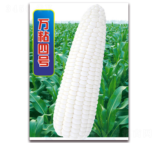 �f(w��n)ճ��̖(h��o)-Ŵ���׷N��-�A��N�I(y��)