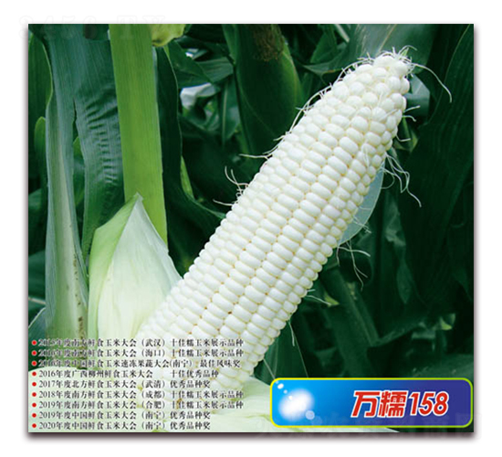 �f(w��n)Ŵ158-Ŵ���׷N��-�A��N�I(y��)