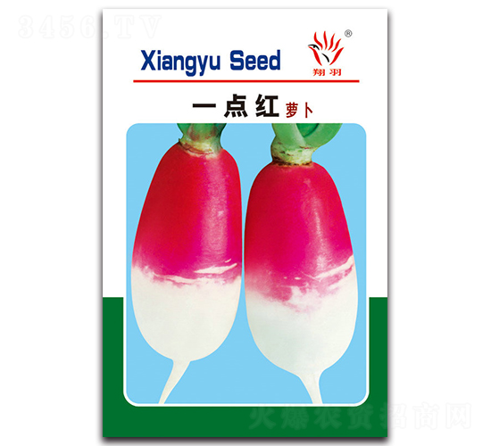 һ�c�t�}��-�}���N��-���ܷN�I