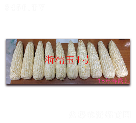 ��Ŵ����̖��15�괺¶�أ�-Ŵ���׷N��-���ܷN�I