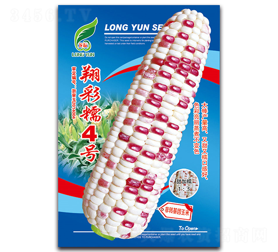 翔彩糯4號-糯玉米種子-京密種業