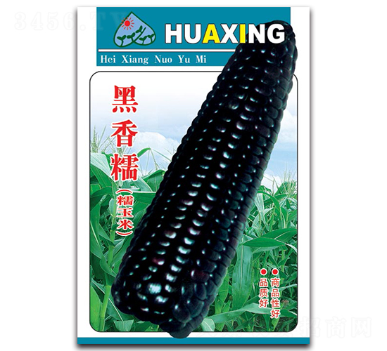 ����Ŵ-Ŵ���׷N��-���ܷN�I