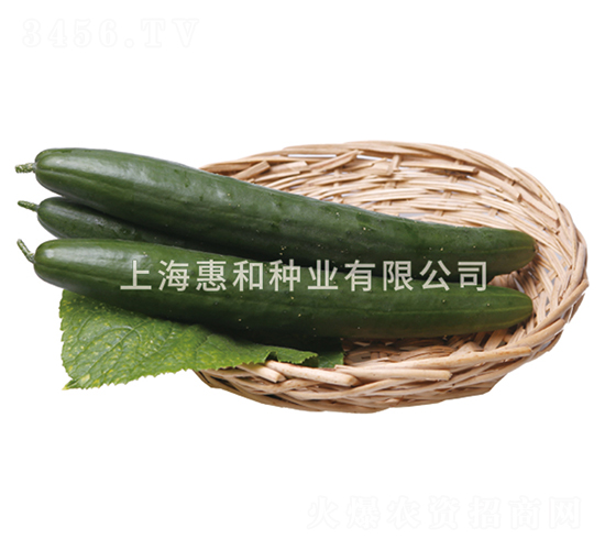 ���Gһ̖-�S�ϷN��-�ݺͷN�I