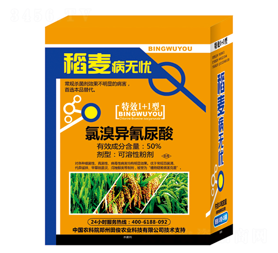 50%���宐������-�������o�n-�￡�ʘI