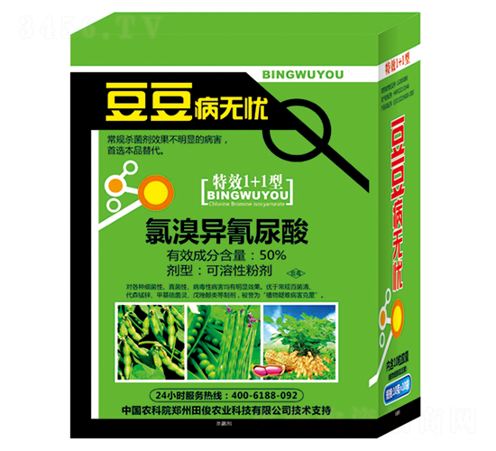 50%���宐������-�������o�n-�￡�ʘI