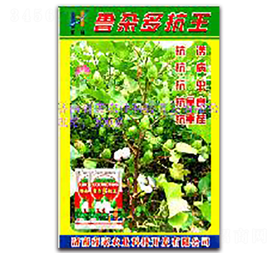 ���s�࿹��-�޻��N��-��r�I