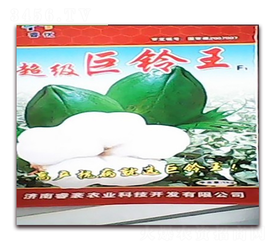 ���������-�޻��N��-��r�I