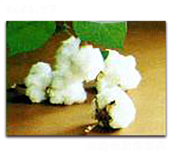 �޻���-�޻��N��-��r�I