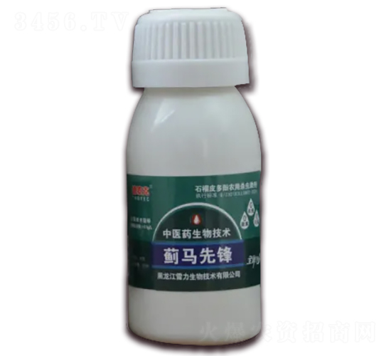 �E�R���h-��̩��-��������