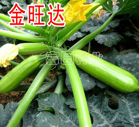 �����_-�����J�N��-���@�N�I