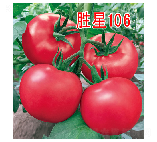 ����106-���ѷN��-���@�N�I