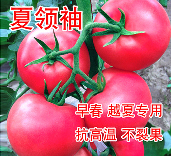 ���I��-���ѷN��-���@�N�I