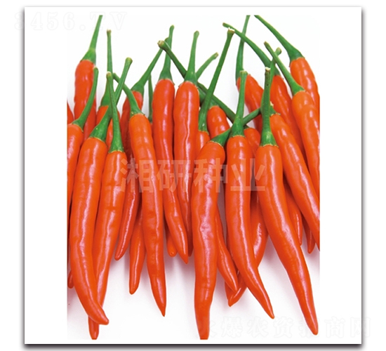 ���G��̖-���콷�N��-���зN�I