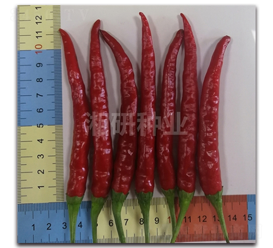 ����708-���콷�N��-���зN�I