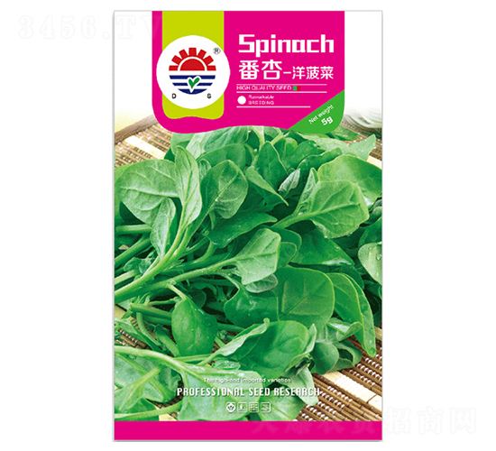 �|������-�ز˷N��-�|���N�I