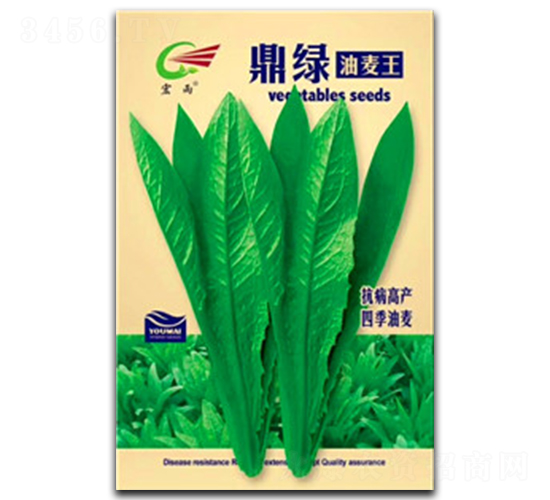 鼎綠-油麥菜種子-宏雨