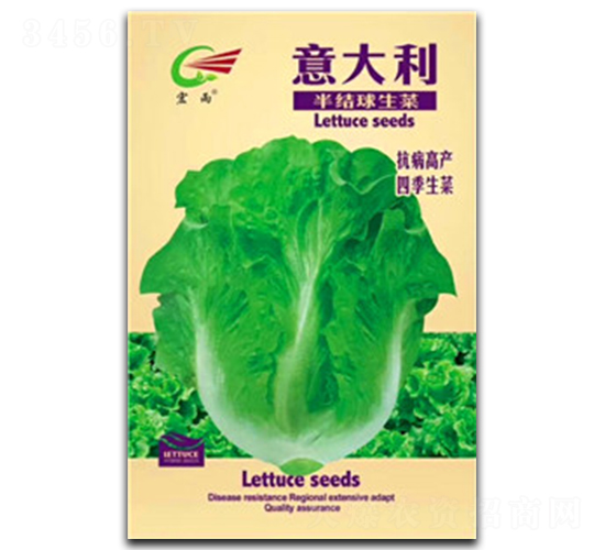 意大利半結球生菜-生菜種子-宏雨