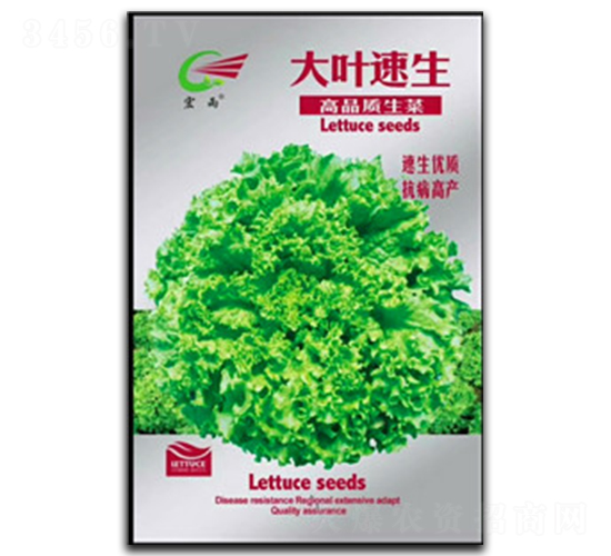 大葉速生-生菜種子-宏雨