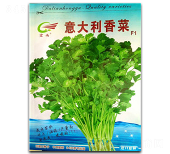 意大利香菜-香菜種子-宏雨