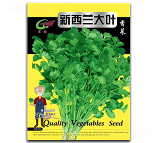 新西蘭大葉-香菜種子-宏雨