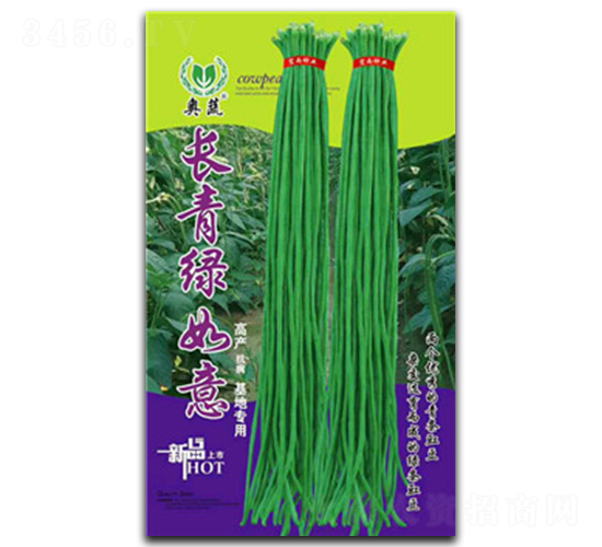 �L��v����-�����N��-����