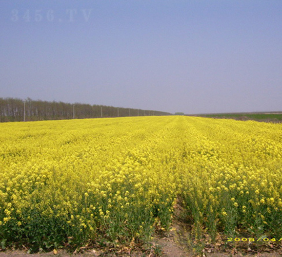 �؃�7̖-�Ͳ˷N��-�к̷N�I