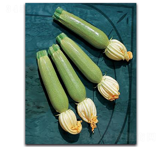 ����-�����J�N��-����