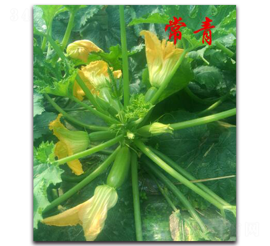 ����-�����J�N��-�r���r�I