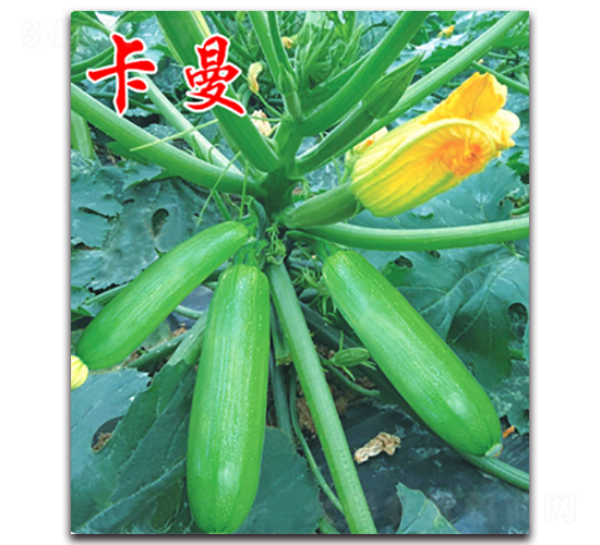 ����-�����J�N��-�r���r�I