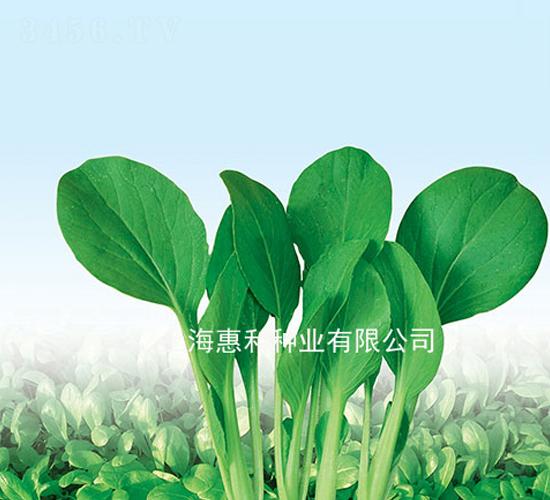 �����uë��-�uë�˷N��-�ݺͷN�I