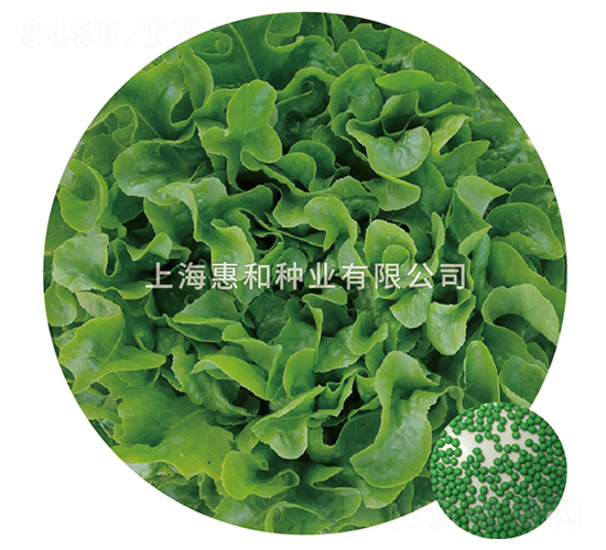 �G��-���˷N��-�ݺͷN�I