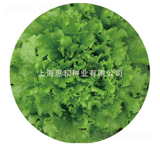 ����-���˷N��-�ݺͷN�I