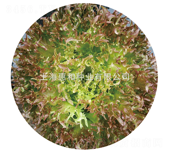 ����-���˷N��-�ݺͷN�I