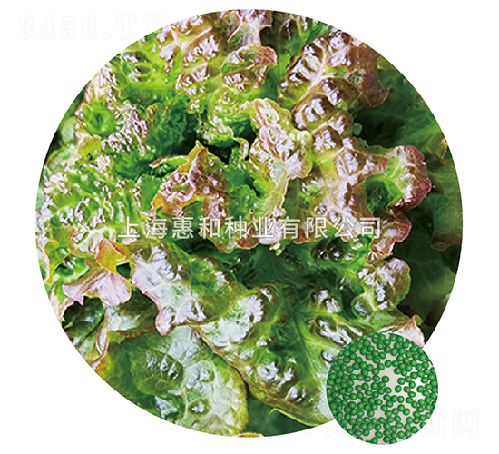 ����-���˷N��-�ݺͷN�I