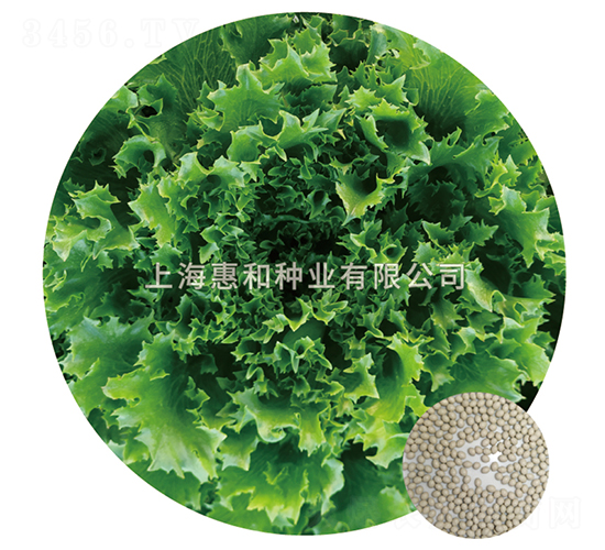 ����-���˷N��-�ݺͷN�I