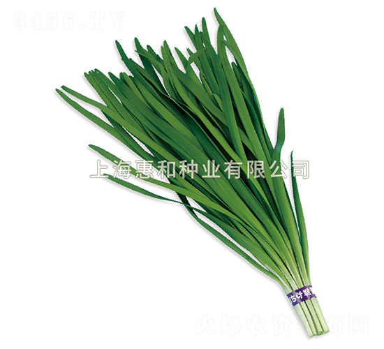 픾G-�²˷N��-�ݺͷN�I