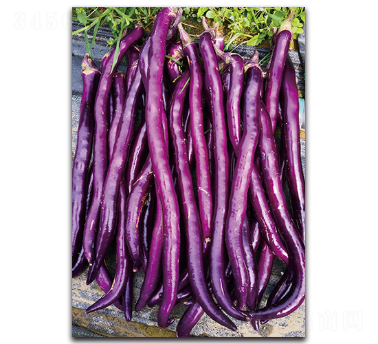 ����-���ӷN��-�������r�I