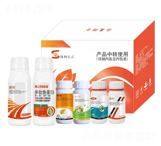 ����I�B���a��Q����-�S�՘�