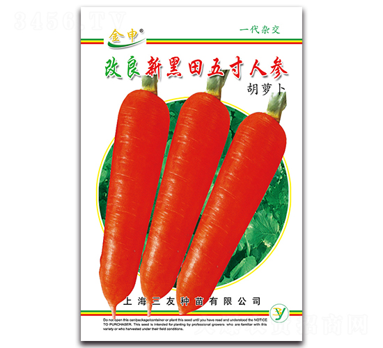 �����º�������˅�-���}���N��-����