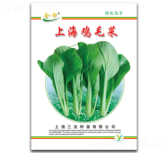 上海雞毛菜-青菜種子-三友