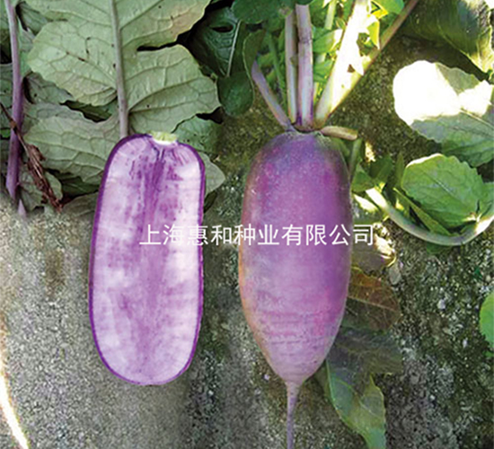 ������-�}���N��-�ݺͷN�I