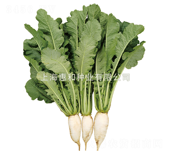 �f�G-�}���N��-�ݺͷN�I