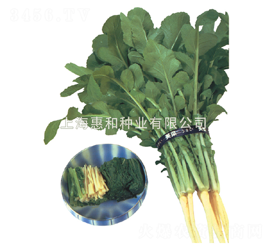 ����-�}���N��-�ݺͷN�I