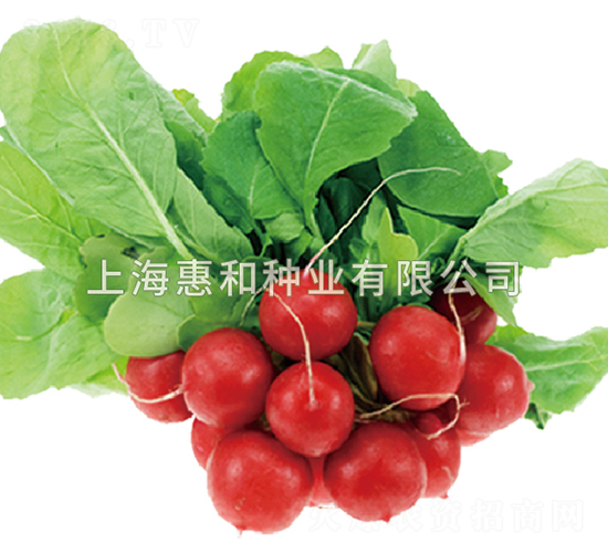 �t��-�}���N��-�ݺͷN�I