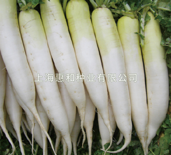 ����-�}���N��-�ݺͷN�I