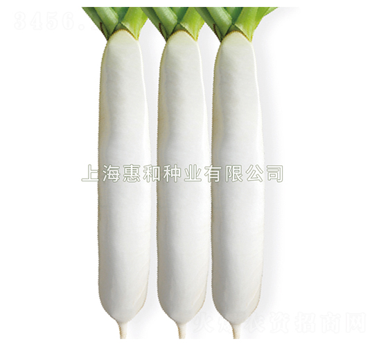 ��ɶ�̖(h��o)-�}���N��-�ݺͷN�I(y��)