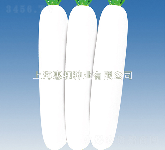 ����ʹ-�}���N��-�ݺͷN�I